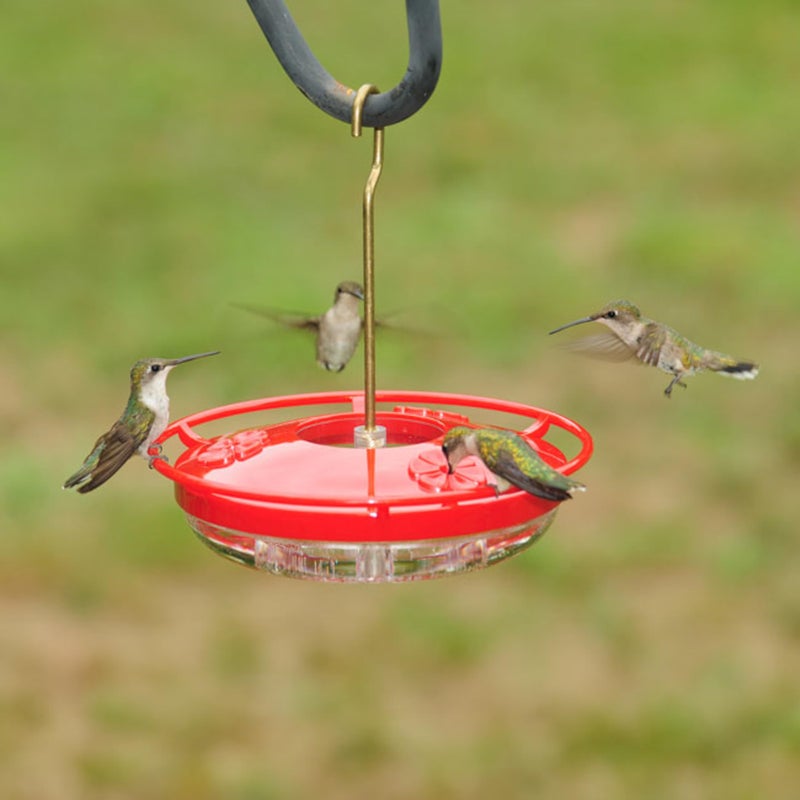 Aspects 430 Hummzinger Highview Mini Hummingbird Feeder, Red/Clear, 8 oz - Image 5